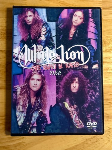 White lion one - lion, night