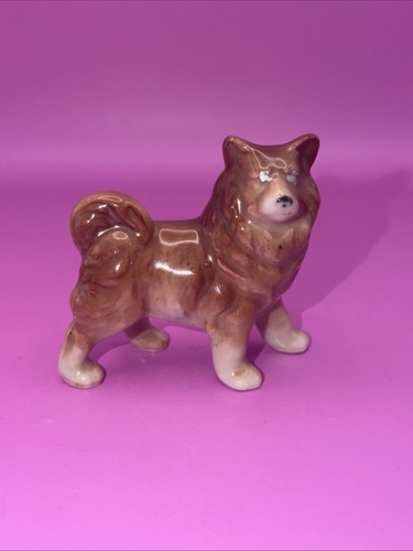 Vintage akita spitz dog - spitz,